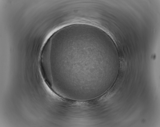X0000091081531200708061326