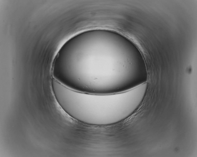 X0000091081532200708061326