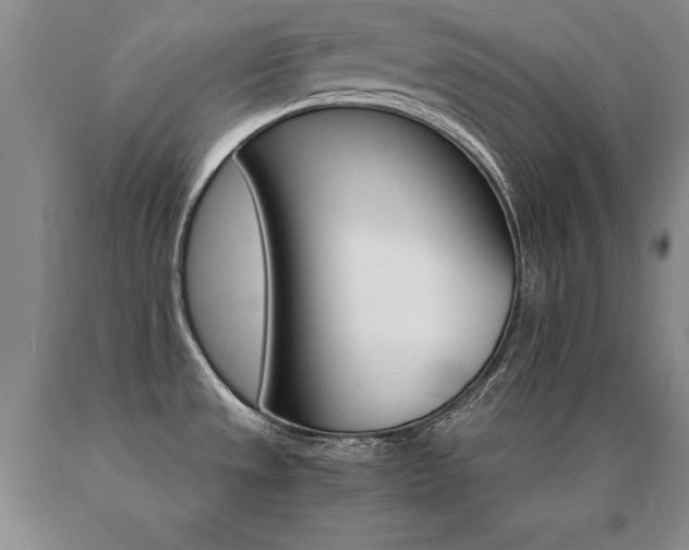X0000091081533200708061326