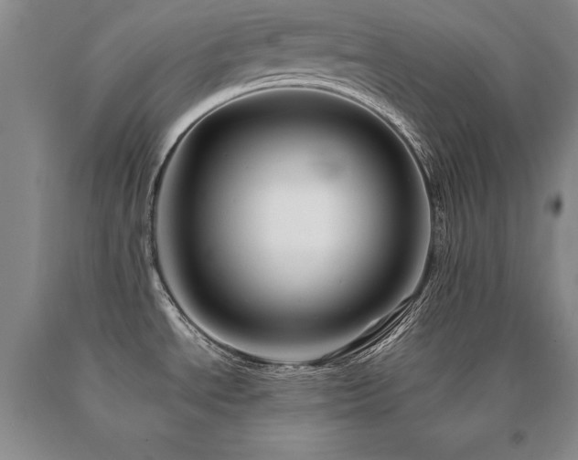 X0000091081534200708061326