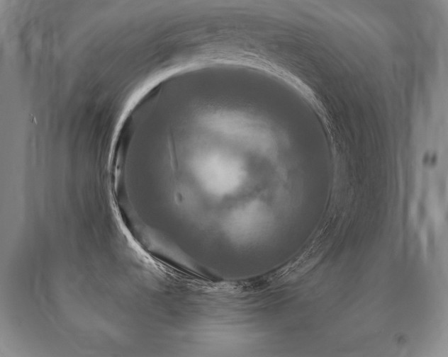 X0000091081536200708061326