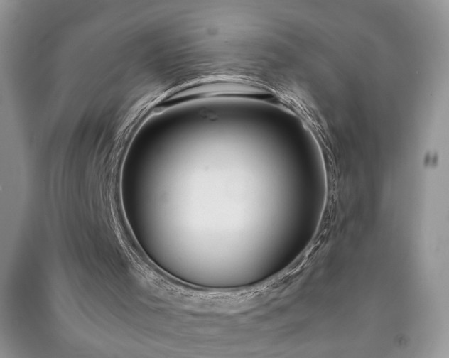 X0000091080001200708131308