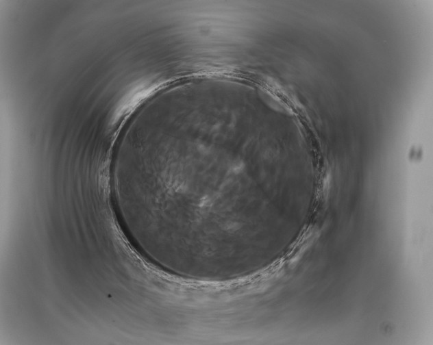 X0000091080002200708131308