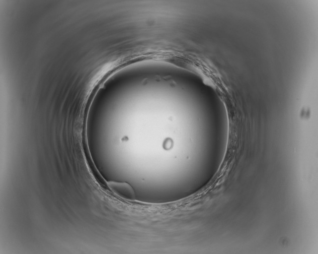 X0000091080003200708131308