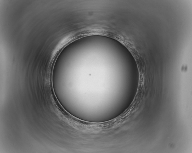 X0000091080004200708131308