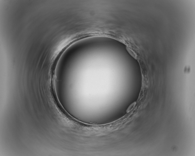 X0000091080005200708131308