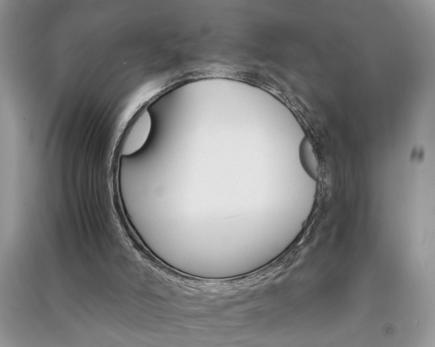 X0000091080006200708131308