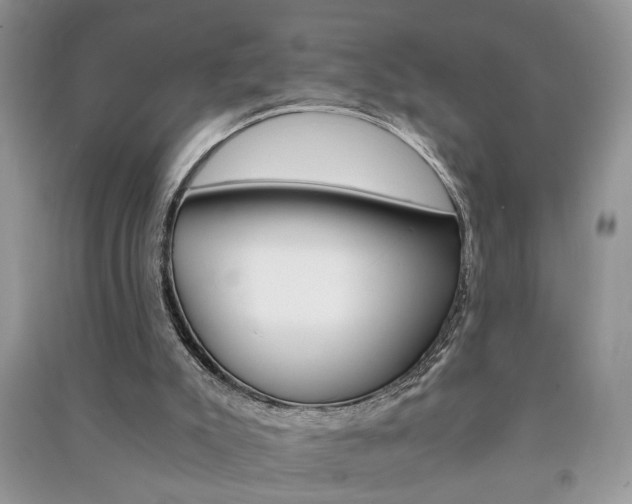 X0000091080007200708131308