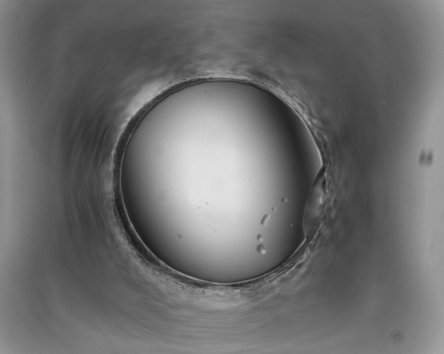 X0000091080008200708131308