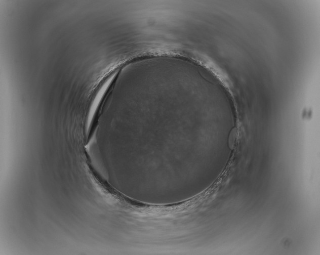 X0000091080009200708131308