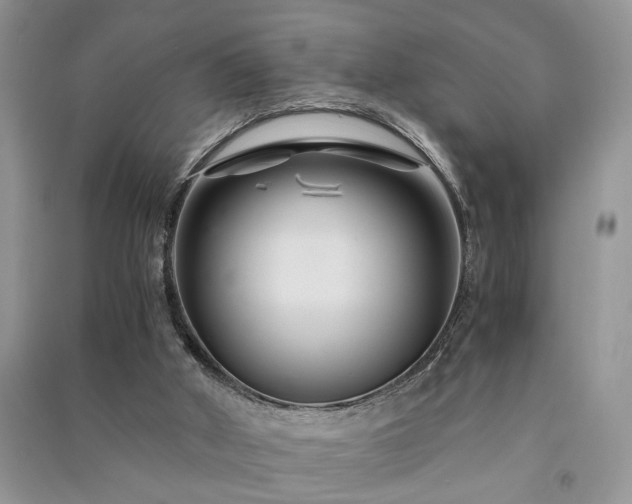 X0000091080010200708131308