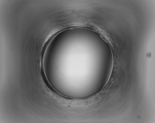 X0000091080011200708131308