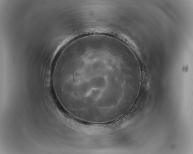 X0000091080012200708131308