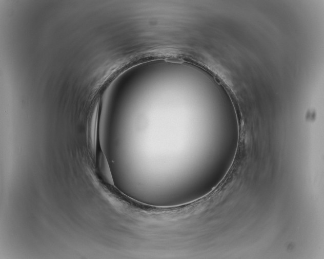 X0000091080013200708131308