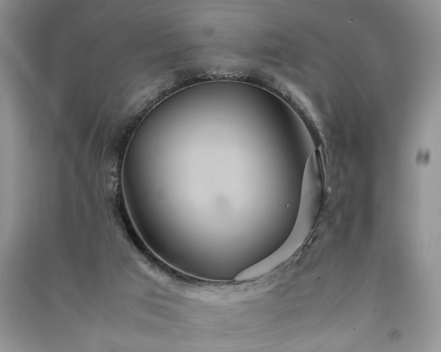 X0000091080017200708131307