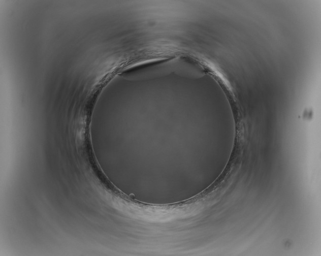 X0000091080018200708131307