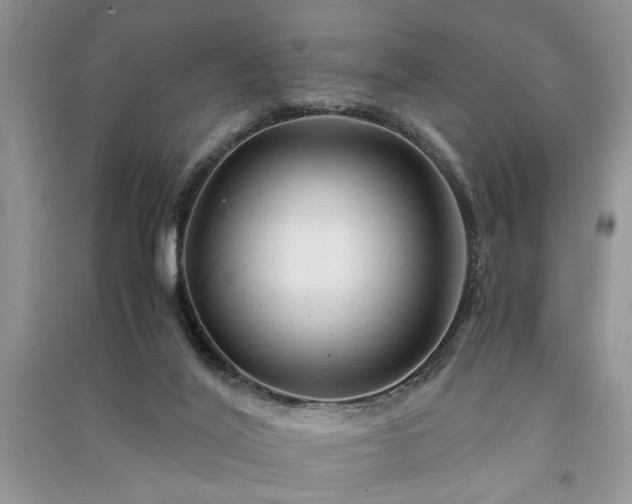 X0000091080020200708131307