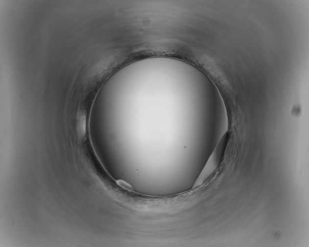 X0000091080021200708131307