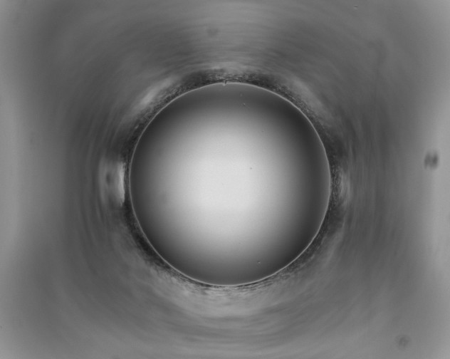 X0000091080022200708131307