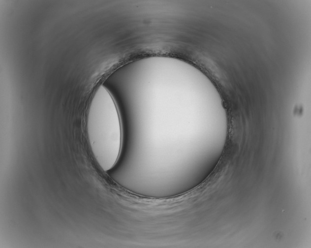 X0000091080023200708131307