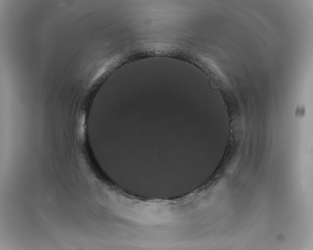 X0000091080024200708131307