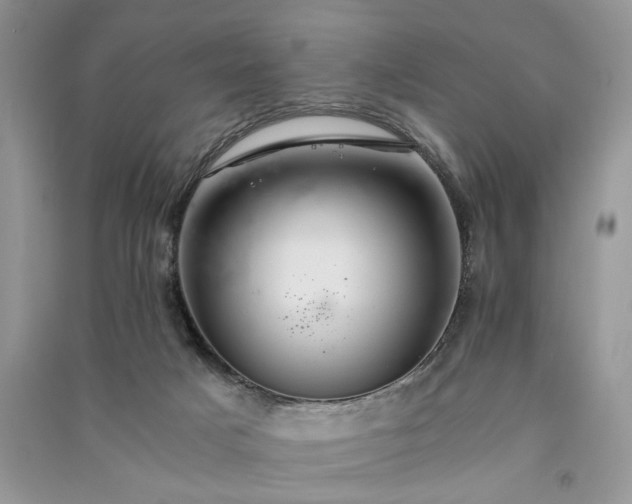 X0000091080025200708131307