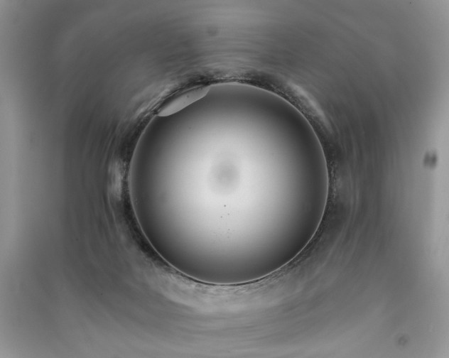 X0000091080026200708131307