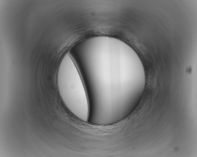 X0000091080027200708131307