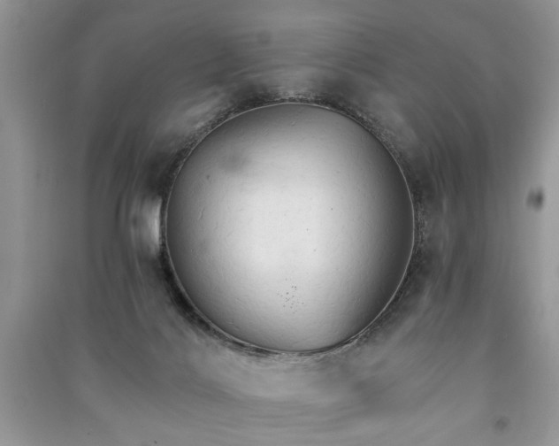 X0000091080028200708131307