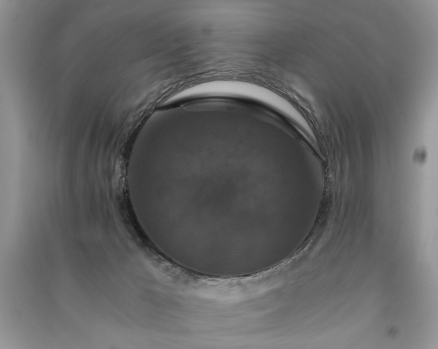 X0000091080029200708131307