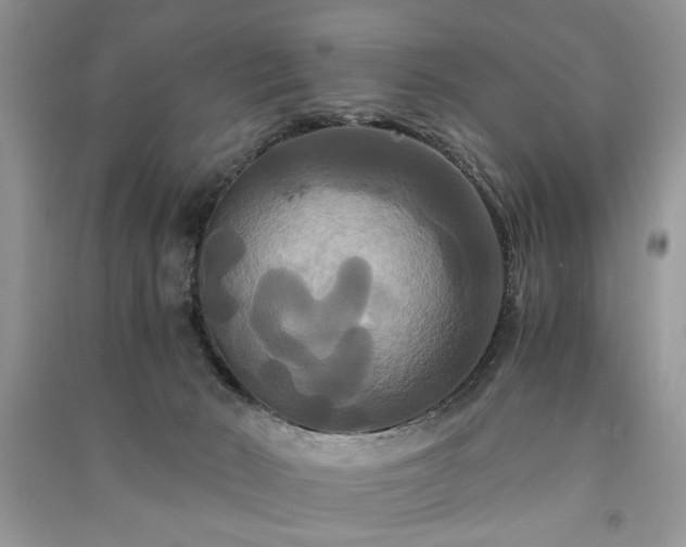 X0000091080030200708131307