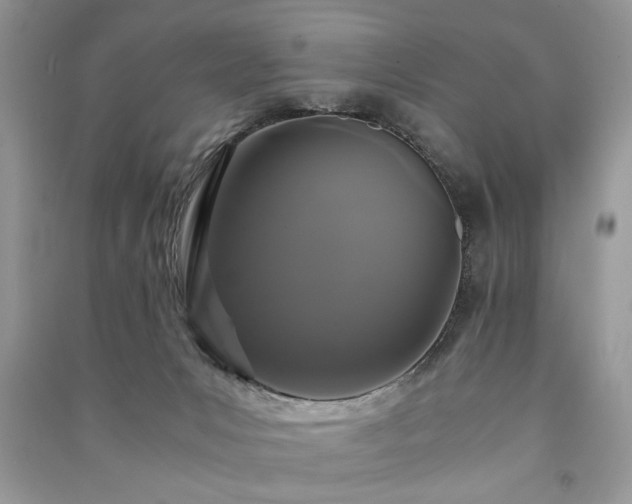 X0000091080031200708131307