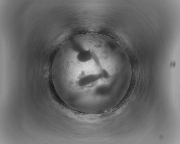 X0000091080032200708131307