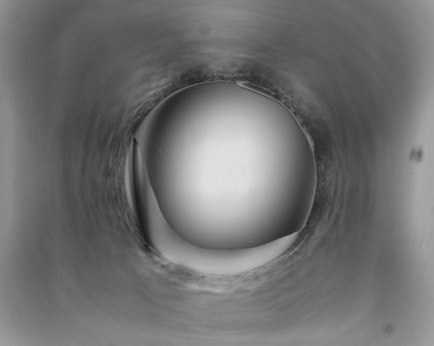 X0000091080033200708131307