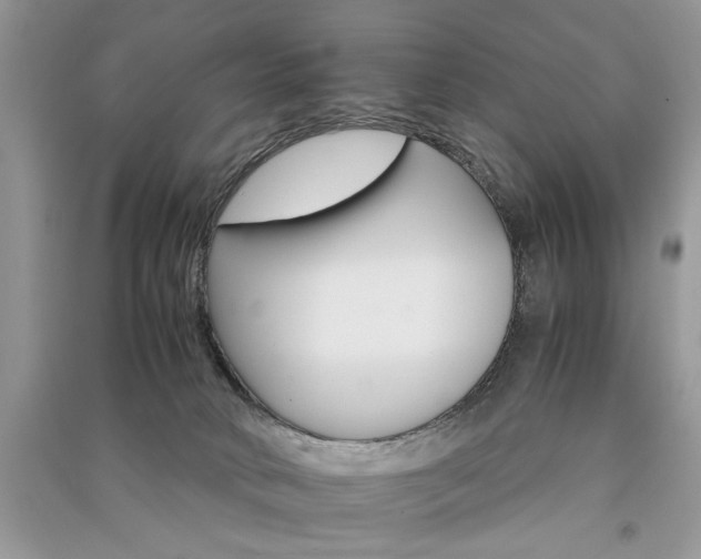 X0000091080034200708131307