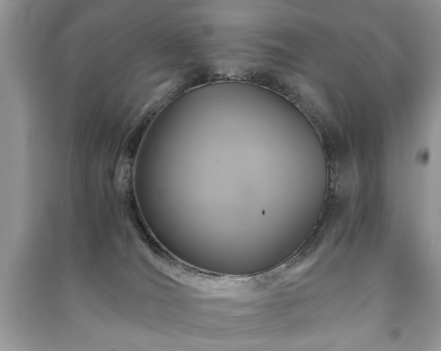 X0000091080036200708131307