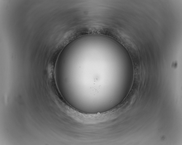 X0000091080038200708131307