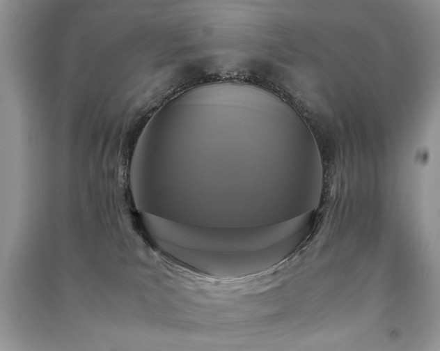 X0000091080039200708131307