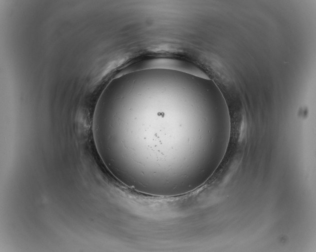 X0000091080040200708131307