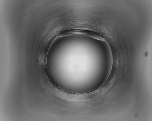 X0000091080044200708131307