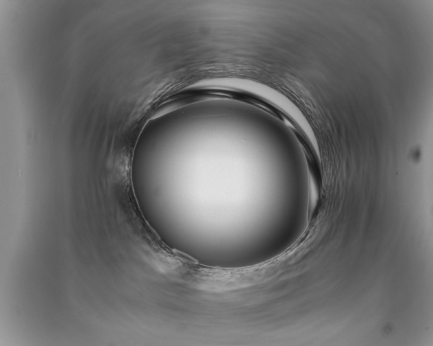 X0000091080045200708131307