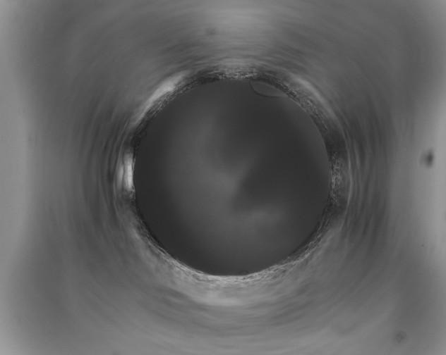 X0000091080046200708131307