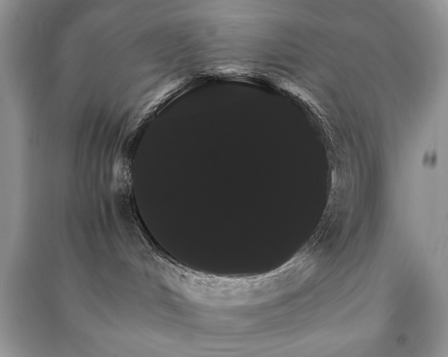 X0000091080048200708131307