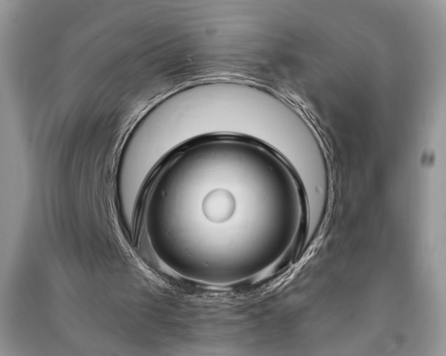 X0000091080049200708131306