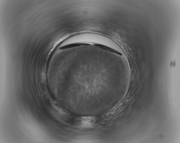 X0000091080050200708131306