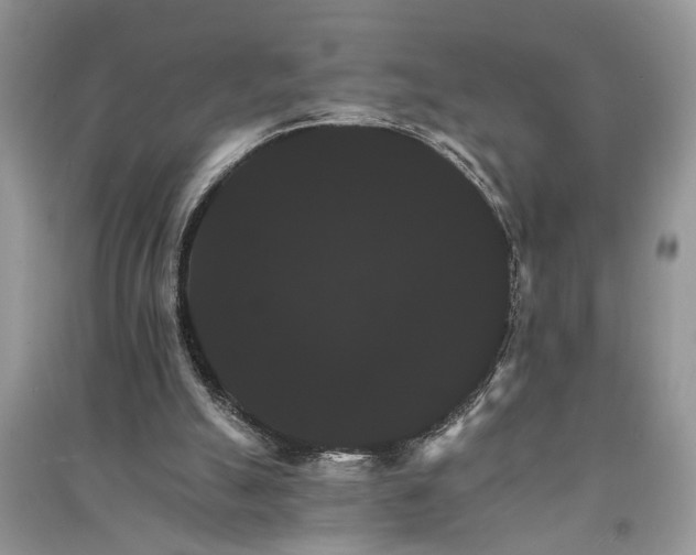 X0000091080055200708131306