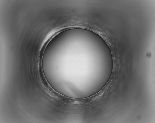 X0000091080056200708131306