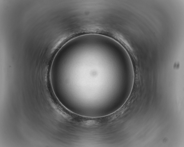 X0000091080058200708131306