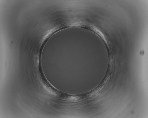 X0000091080059200708131306