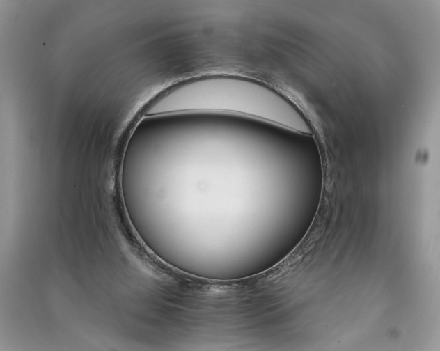 X0000091080060200708131306